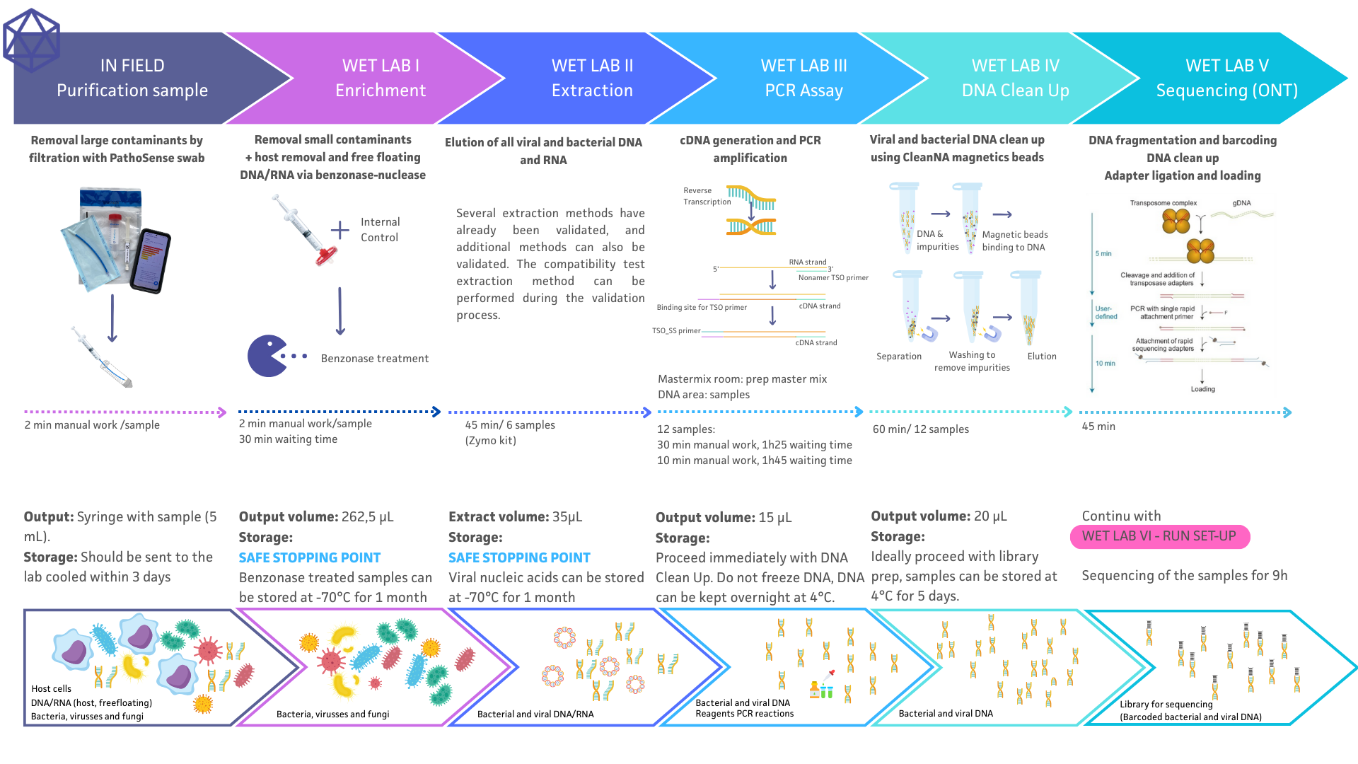SOP wet lab infographic-2